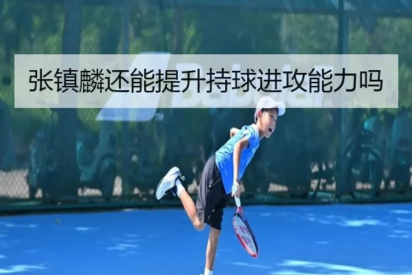张镇麟还能提升持球进攻能力吗